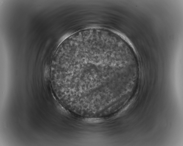 X0000084040953200703092028