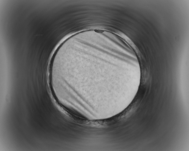 X0000084040955200703092028