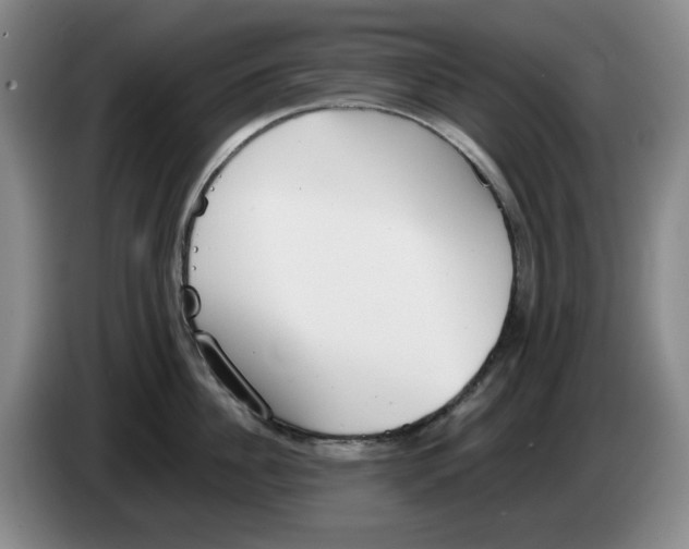 X0000084040956200703092028