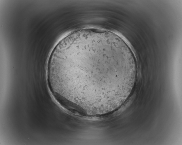 X0000084040957200703092028