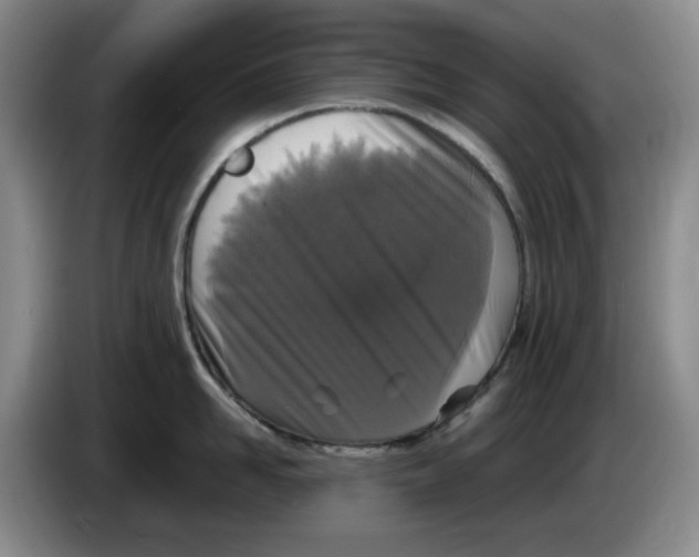 X0000084040958200703092029