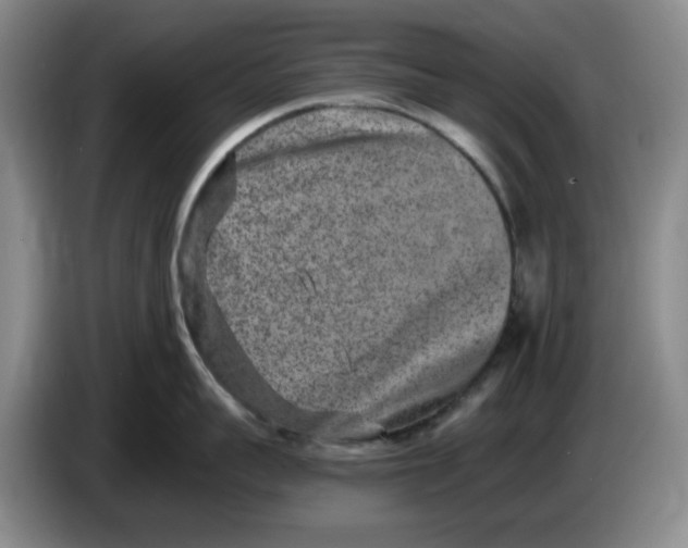 X0000084040959200703092029