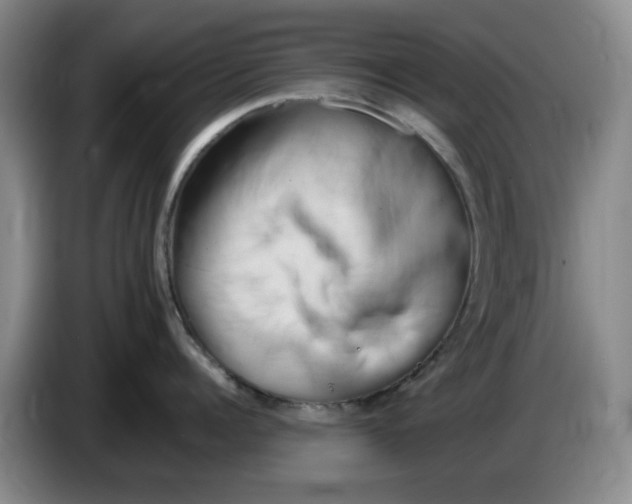 X0000084040960200703092029