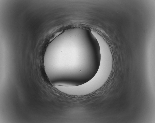 X0000084040965200703092028