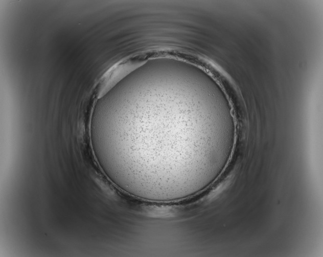 X0000084040969200703092028