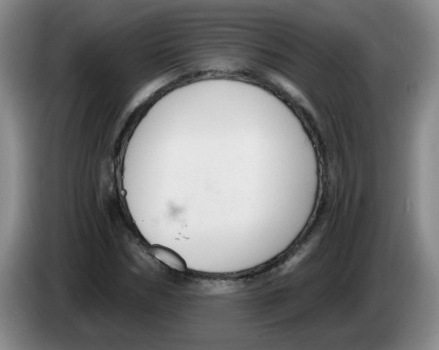 X0000084040970200703092028