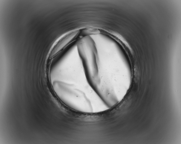 X0000084040972200703092028