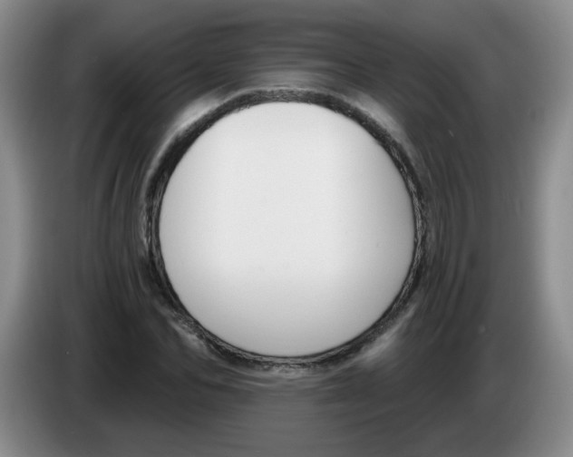 X0000084040974200703092028