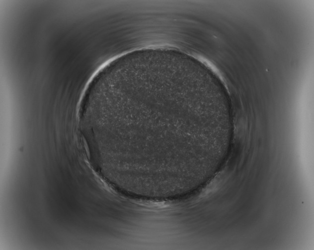 X0000084040975200703092028