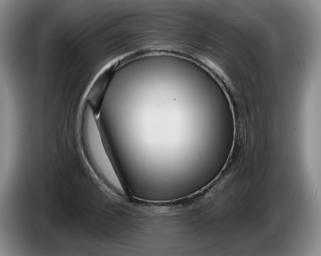 X0000084040976200703092028