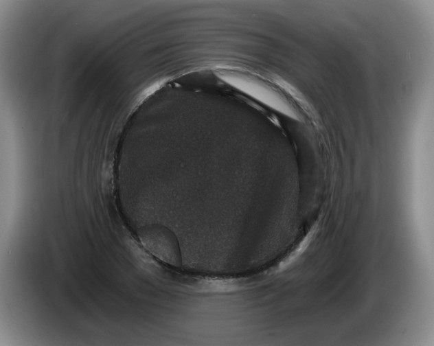 X0000084040977200703092028