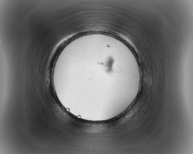 X0000084040979200703092028