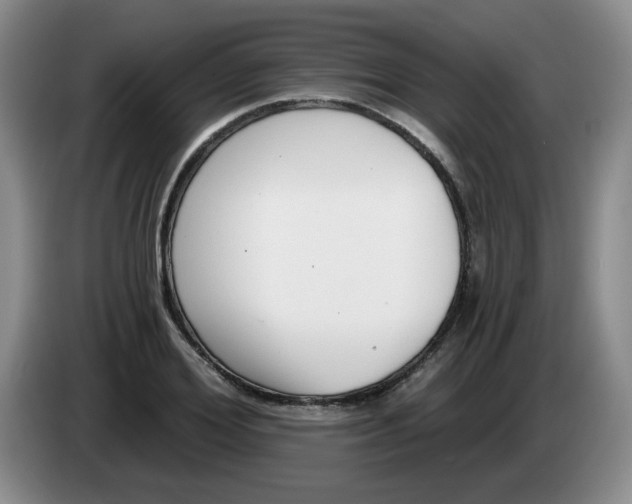 X0000084040980200703092028