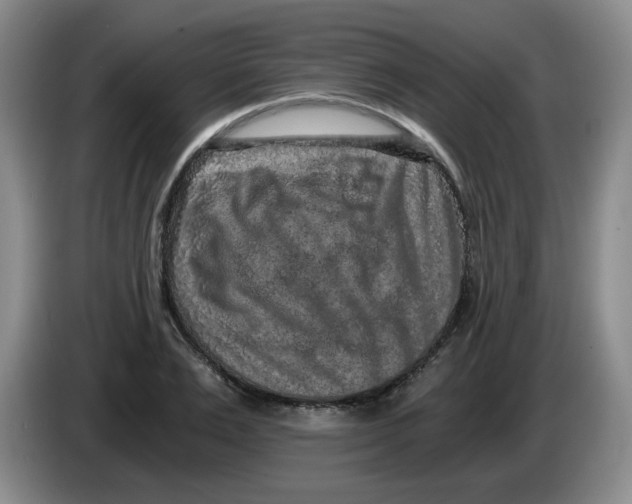 X0000084040983200703092028