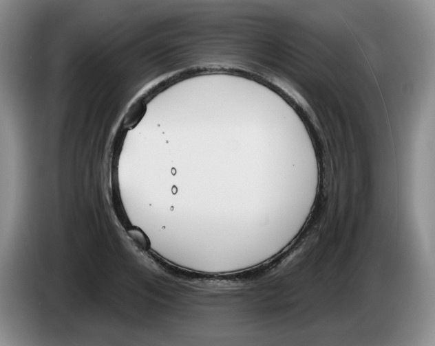 X0000084040984200703092028