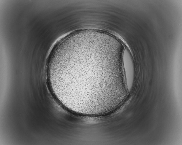 X0000084040987200703092028