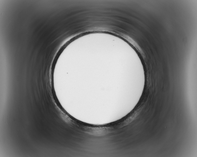 X0000084040988200703092028