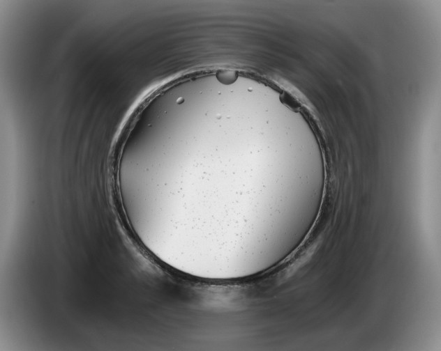 X0000084040989200703092028