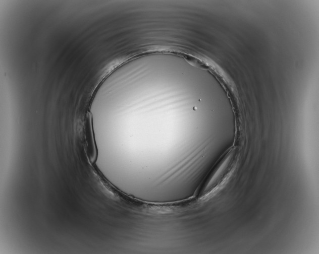 X0000084040993200703092027