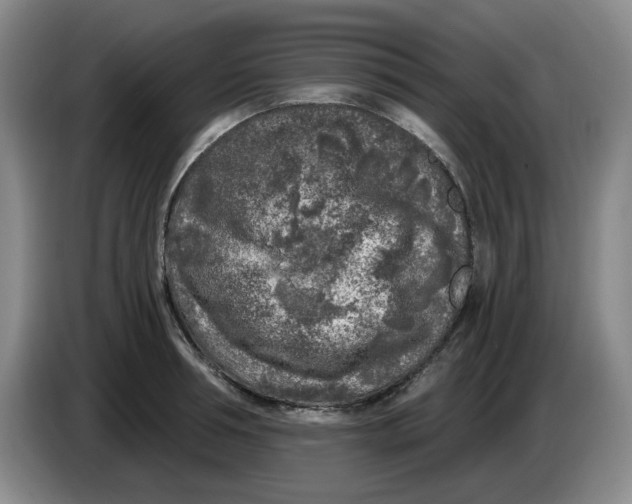 X0000084040994200703092027