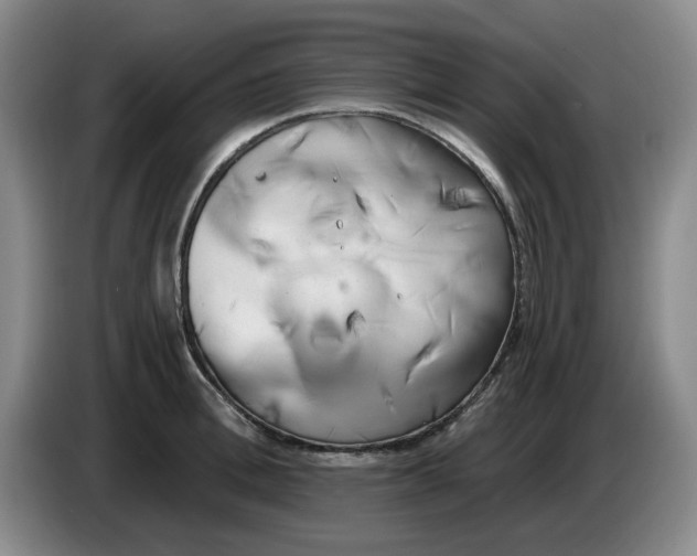 X0000084040996200703092027