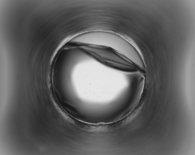 X0000084040997200703092027