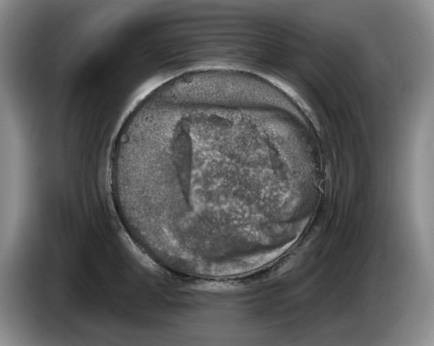 X0000084040998200703092027