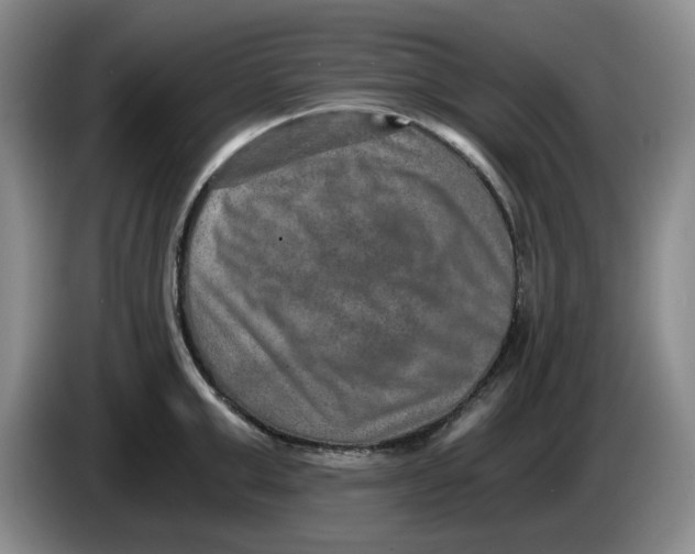 X0000084040999200703092027