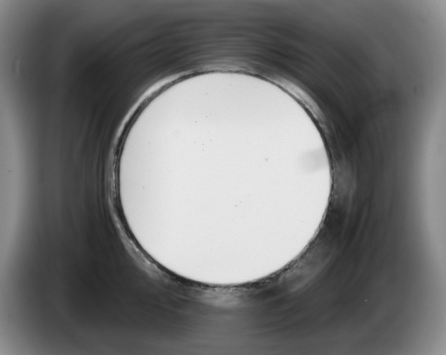 X0000084041000200703092027