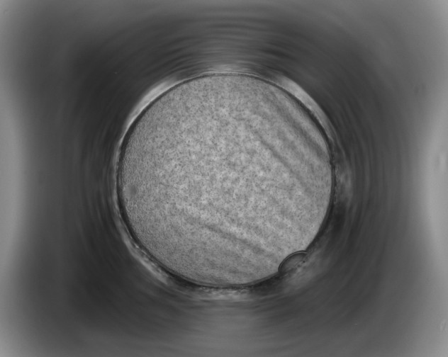 X0000084041002200703092027