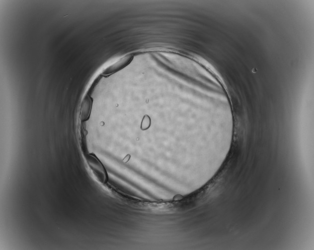 X0000084041003200703092027