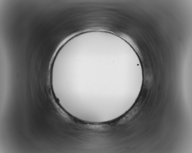 X0000084041004200703092027