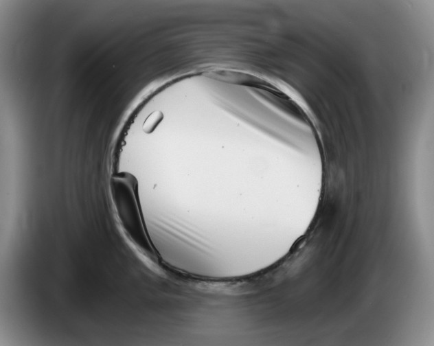 X0000084041005200703092027