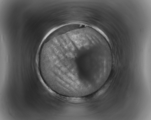 X0000084041007200703092027