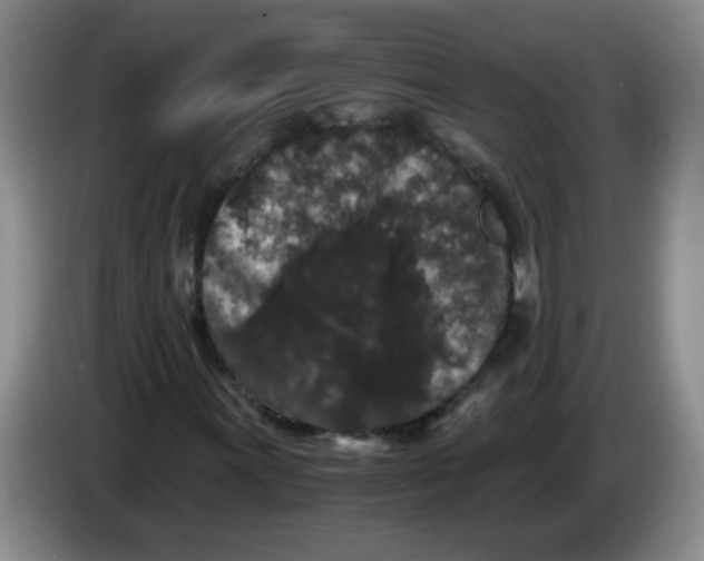 X0000084041011200703092027