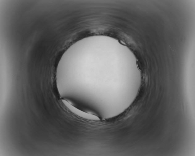 X0000084041012200703092027