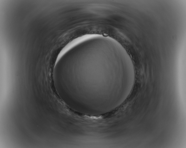 X0000084041013200703092027