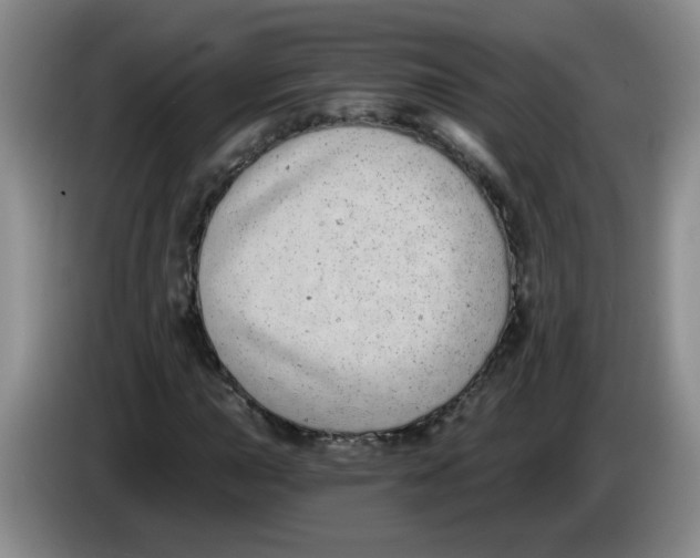 X0000084041015200703092027