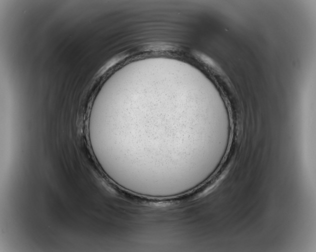 X0000084041017200703092027