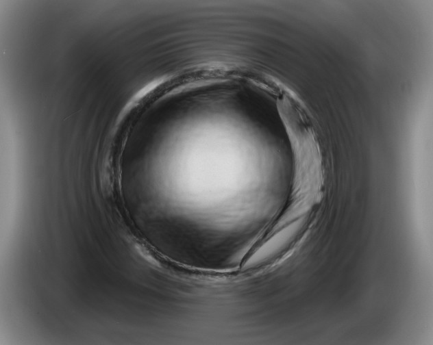 X0000084041018200703092027