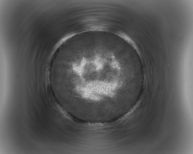 X0000084041019200703092027