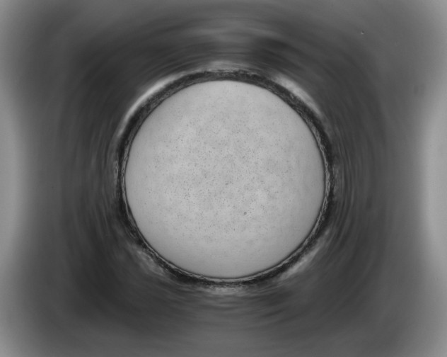 X0000084041021200703092027