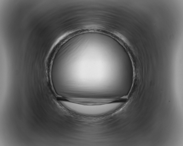 X0000084041022200703092027