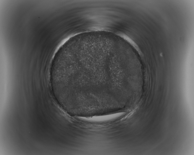 X0000084041023200703092027