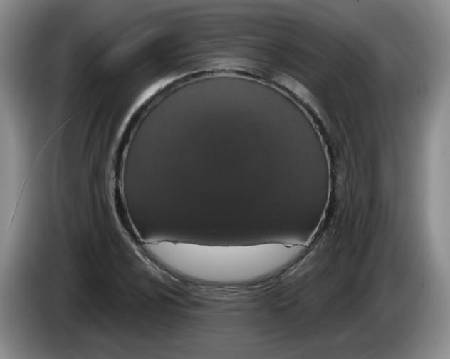 X0000084041024200703092027