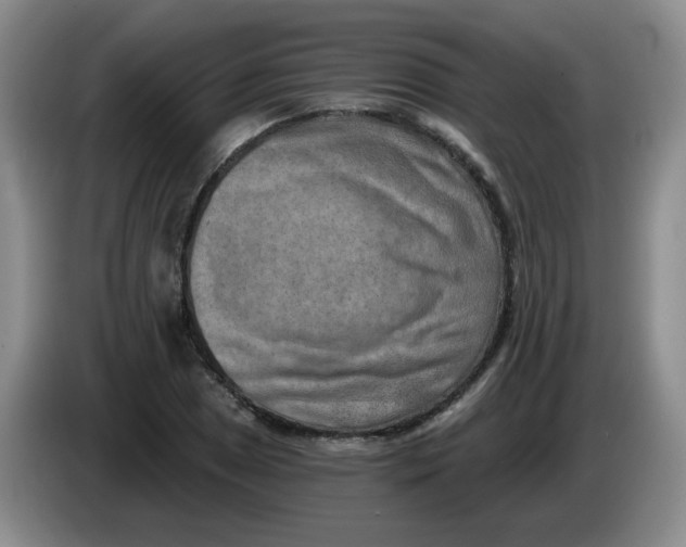 X0000084041025200703092027