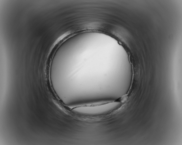 X0000084041026200703092027