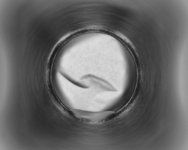 X0000084041029200703092027