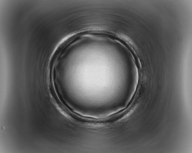 X0000084041030200703092027