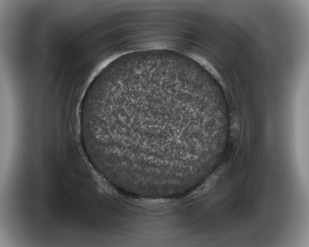 X0000084041031200703092027